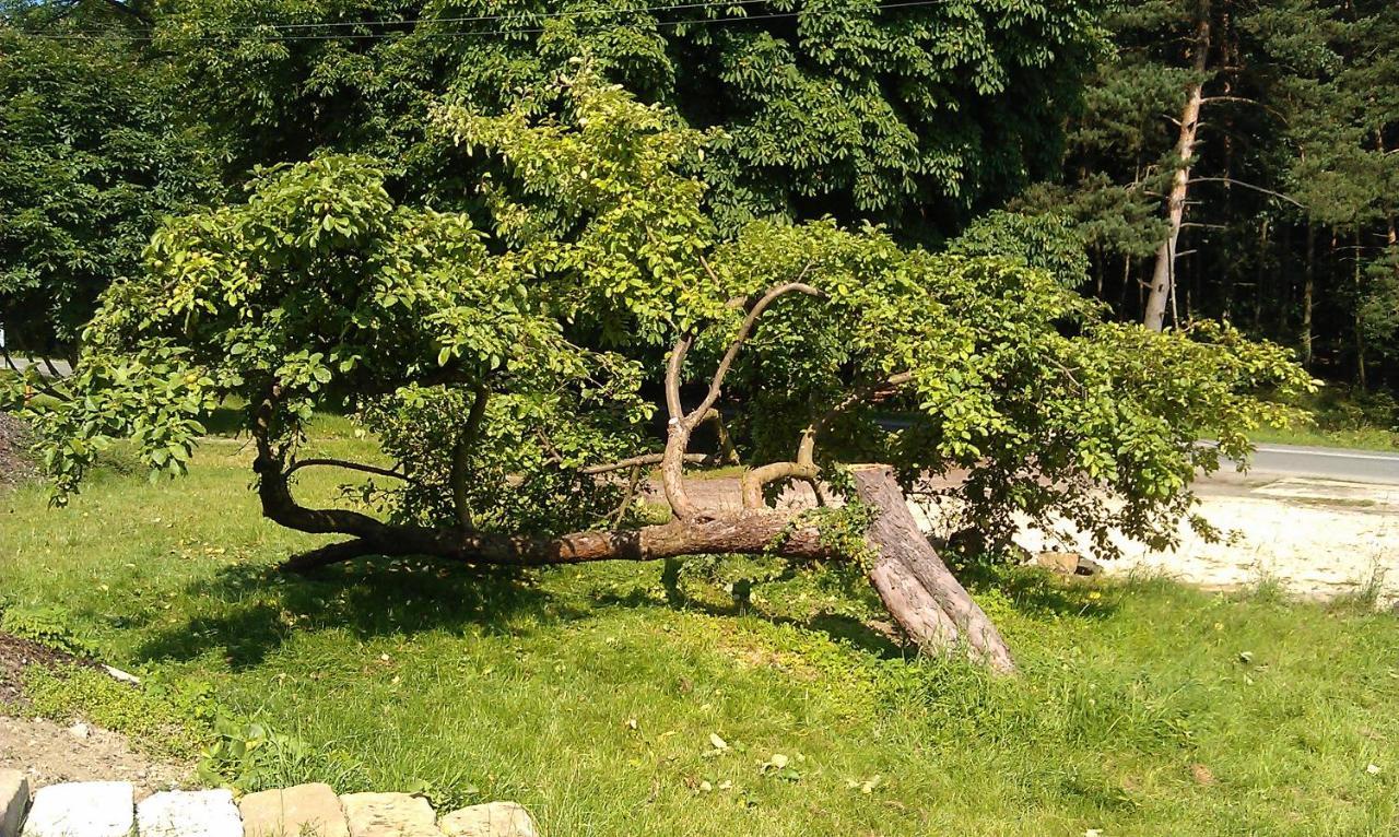 Penzion Slunečno Dobšín Esterno foto